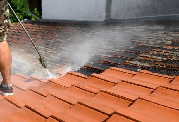 Best Roof Power Washing Services  in USA